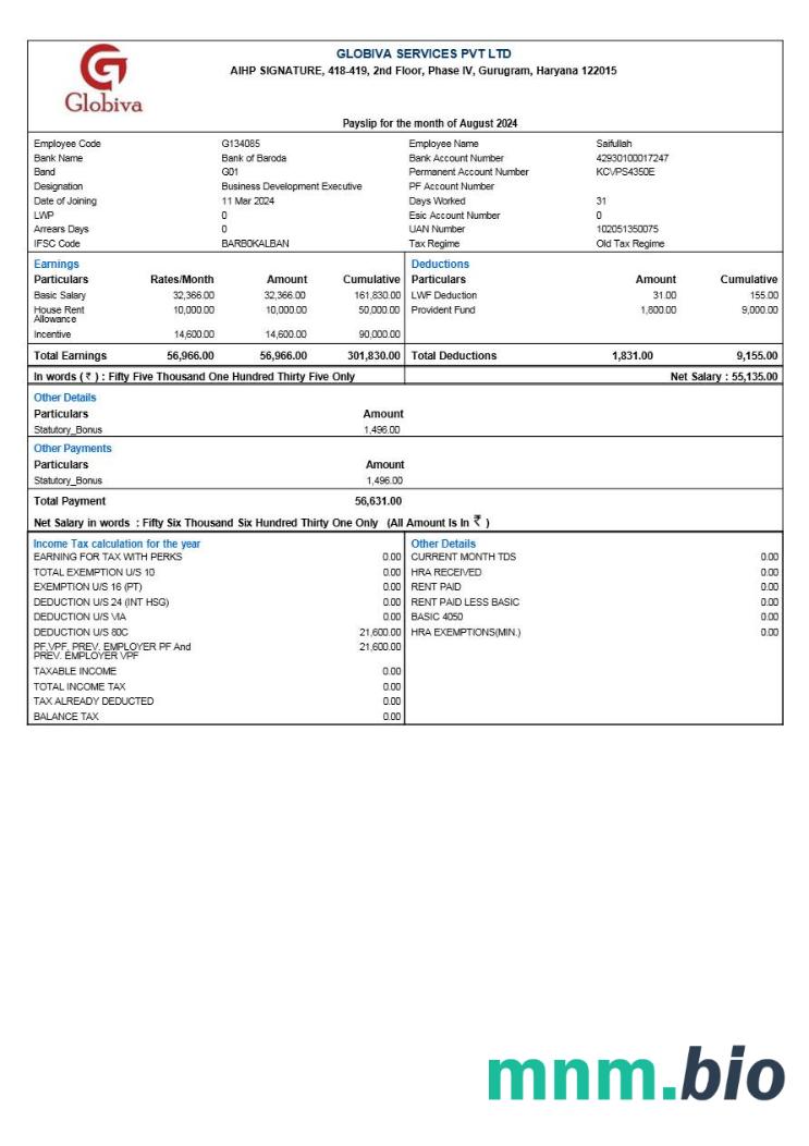 Szablon odcinka wypłaty usługi Globiva w formatach Word i PDF